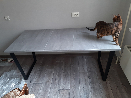 Деревянный стол Лота Лофт 140х80 черный матовый / бетон светлый фото покупателя 165