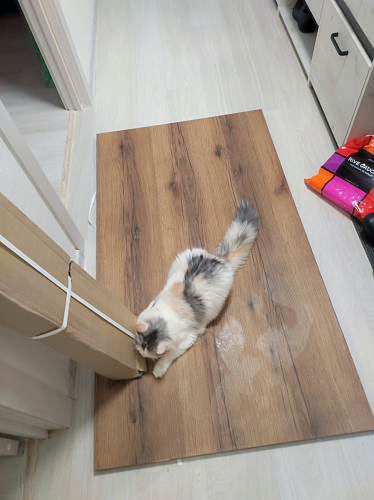 Стол Тринити Лофт 120 32 мм дуб галифакс табако / черный матовый фото покупателя 72