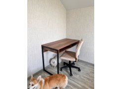 Письменный стол Леон Лофт бетон / черный матовый фото покупателя 11