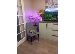 Стул на металлокаркасе Kora beige / black фото покупателя 298