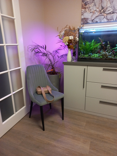 Стул на металлокаркасе Kora beige / black фото покупателя 298