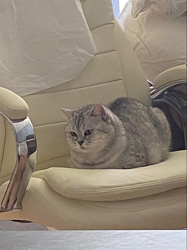 Компьютерное кресло Tomar серое фото покупателя 83