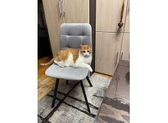 Стул Чилли 2 темно-серый  / черный фото покупателя 67