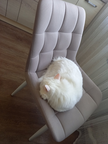 Комплект стульев Форт 4 шт кирпичный / чёрный фото покупателя 166