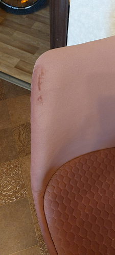 Стул Bonuss велюр coral фото покупателя 98