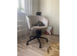 Компьютерное кресло Тибо confetti chocolate / белый фото покупателя 172