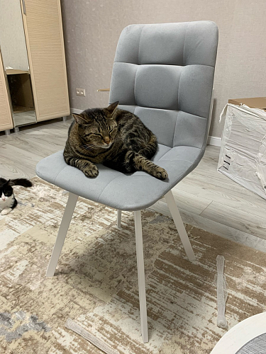 Стул на металлокаркасе Чилли К светло-серый велюр / черный каркас фото покупателя 924