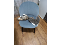 Стул на металлокаркасе Gabi 1 gray фото покупателя 23