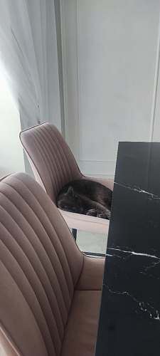 Стул на металлокаркасе Седа К кирпичный / черный фото покупателя 337