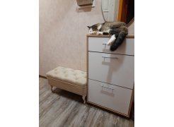 Обувница ТП-2 дуб делано фото покупателя 3